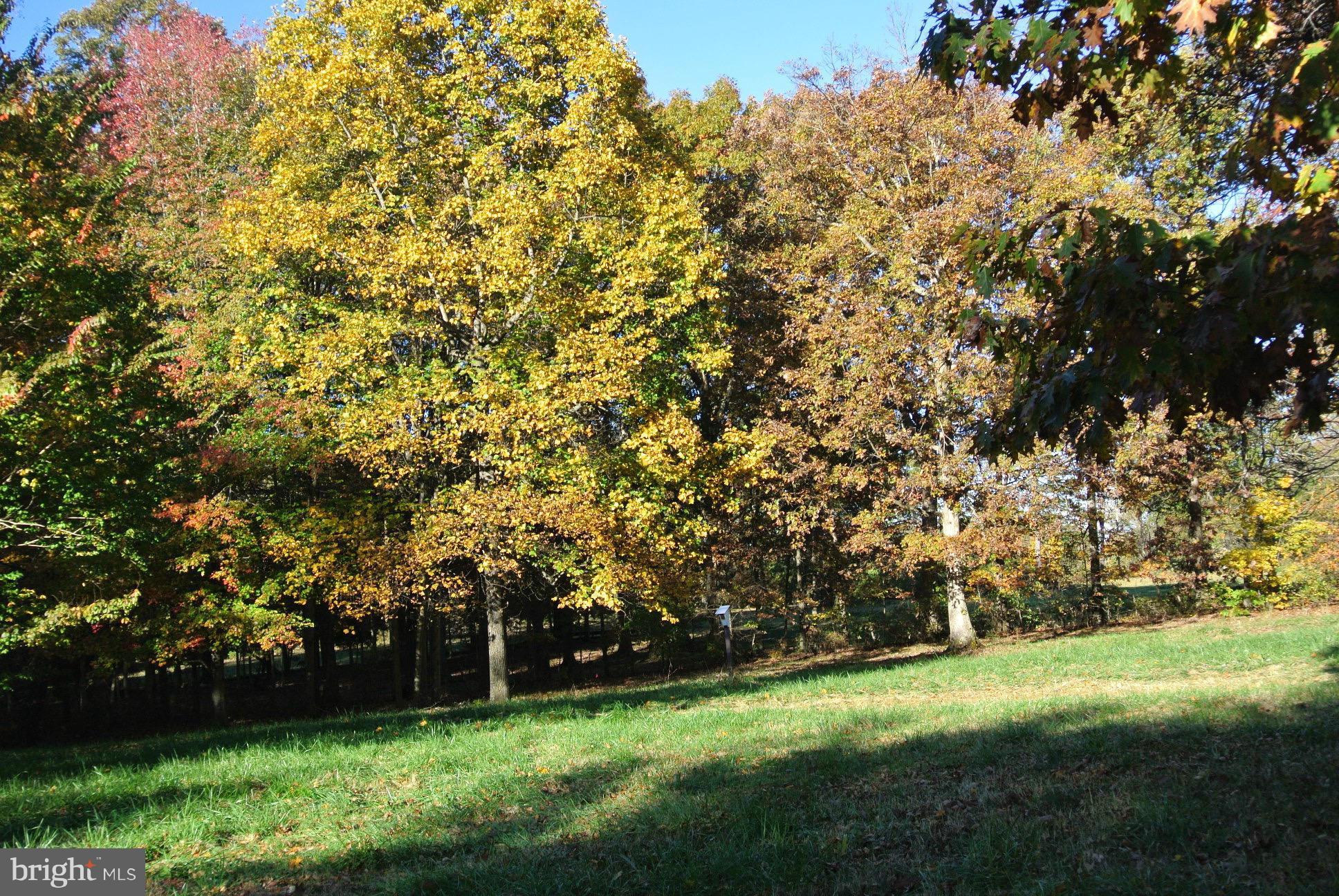 2 Chestnut Fork Road Culpeper, VA 22701 - Photo 12 of 12 View