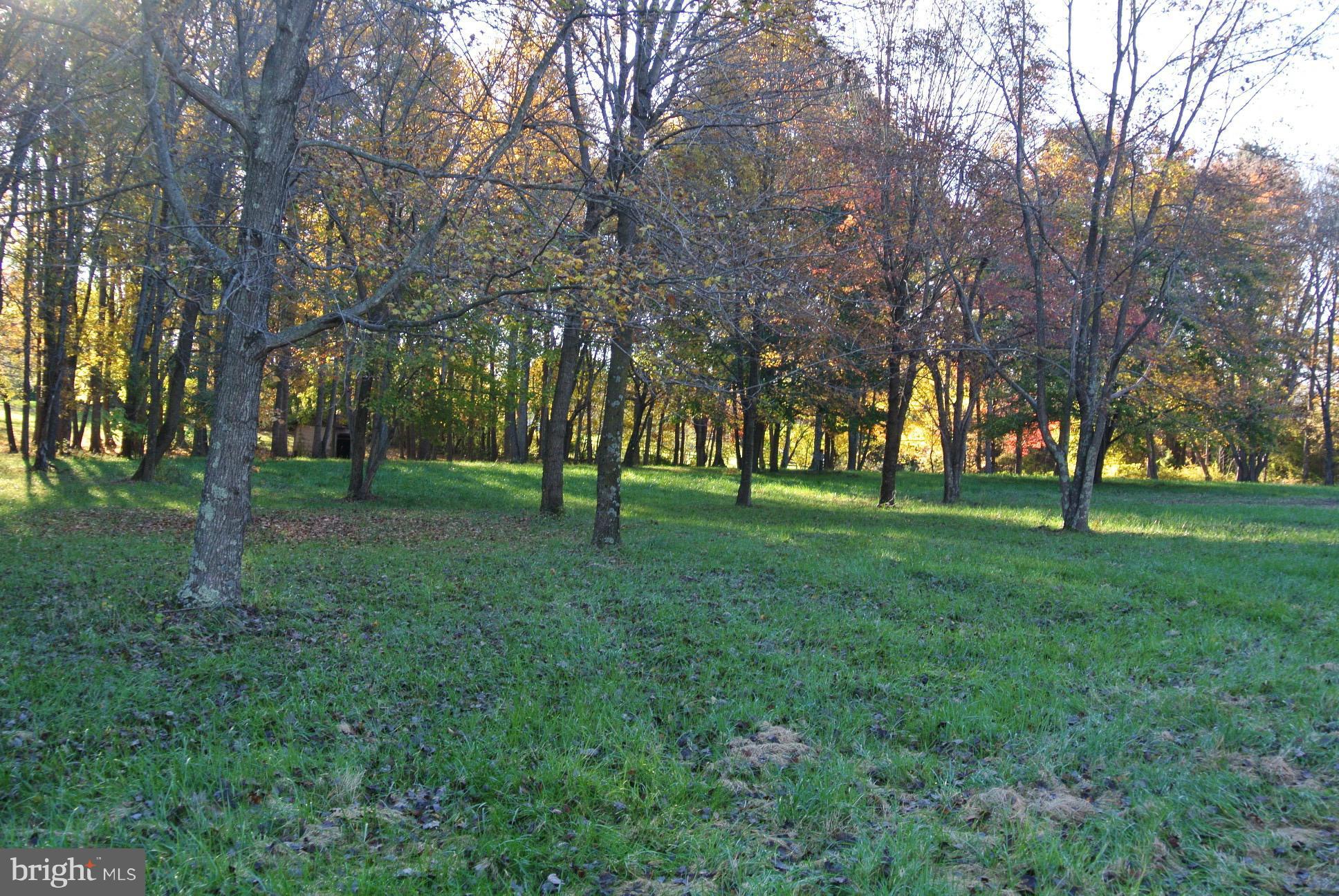 2 Chestnut Fork Road Culpeper, VA 22701 - Photo 4 of 12 View