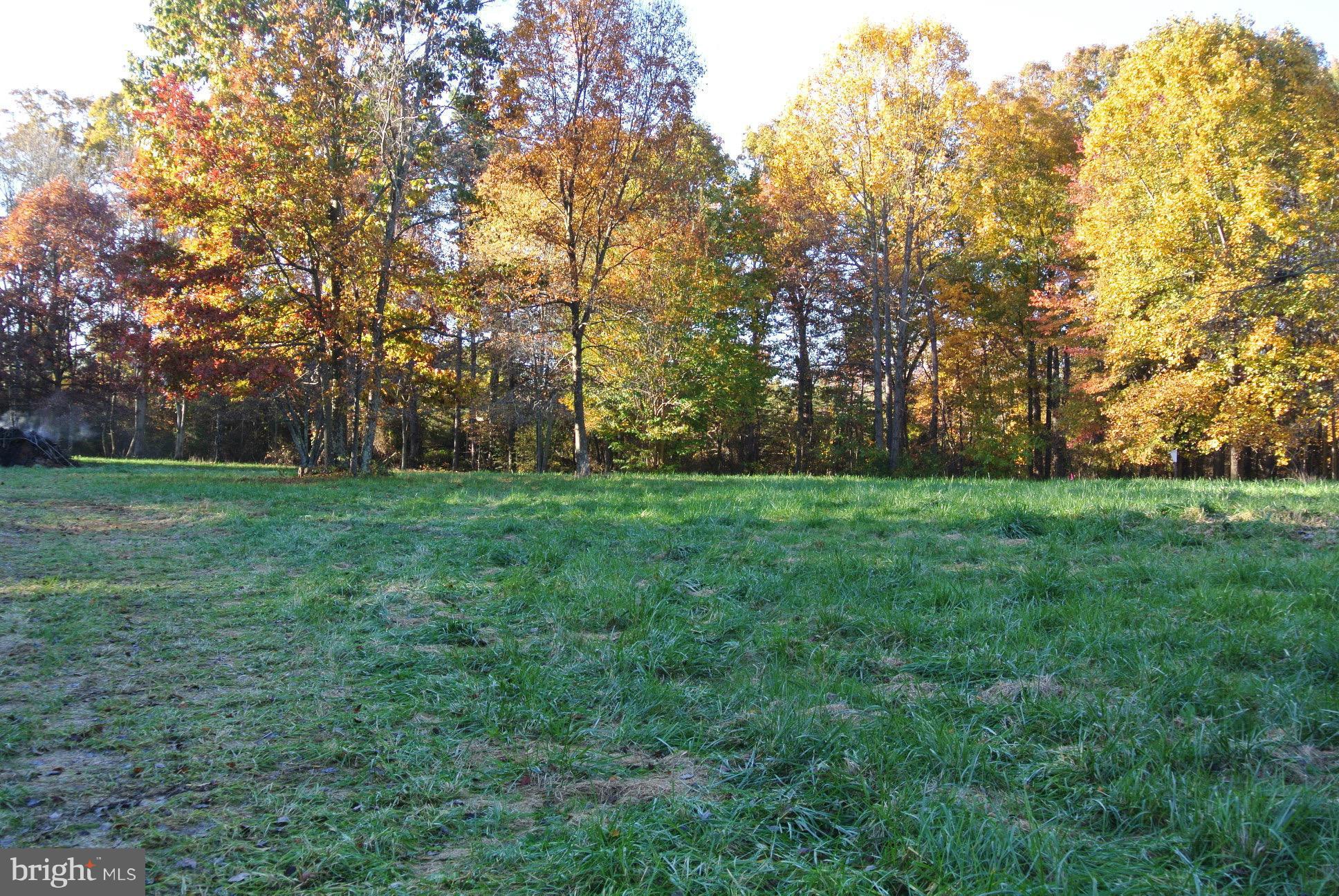2 Chestnut Fork Road Culpeper, VA 22701 - Photo 5 of 12 View