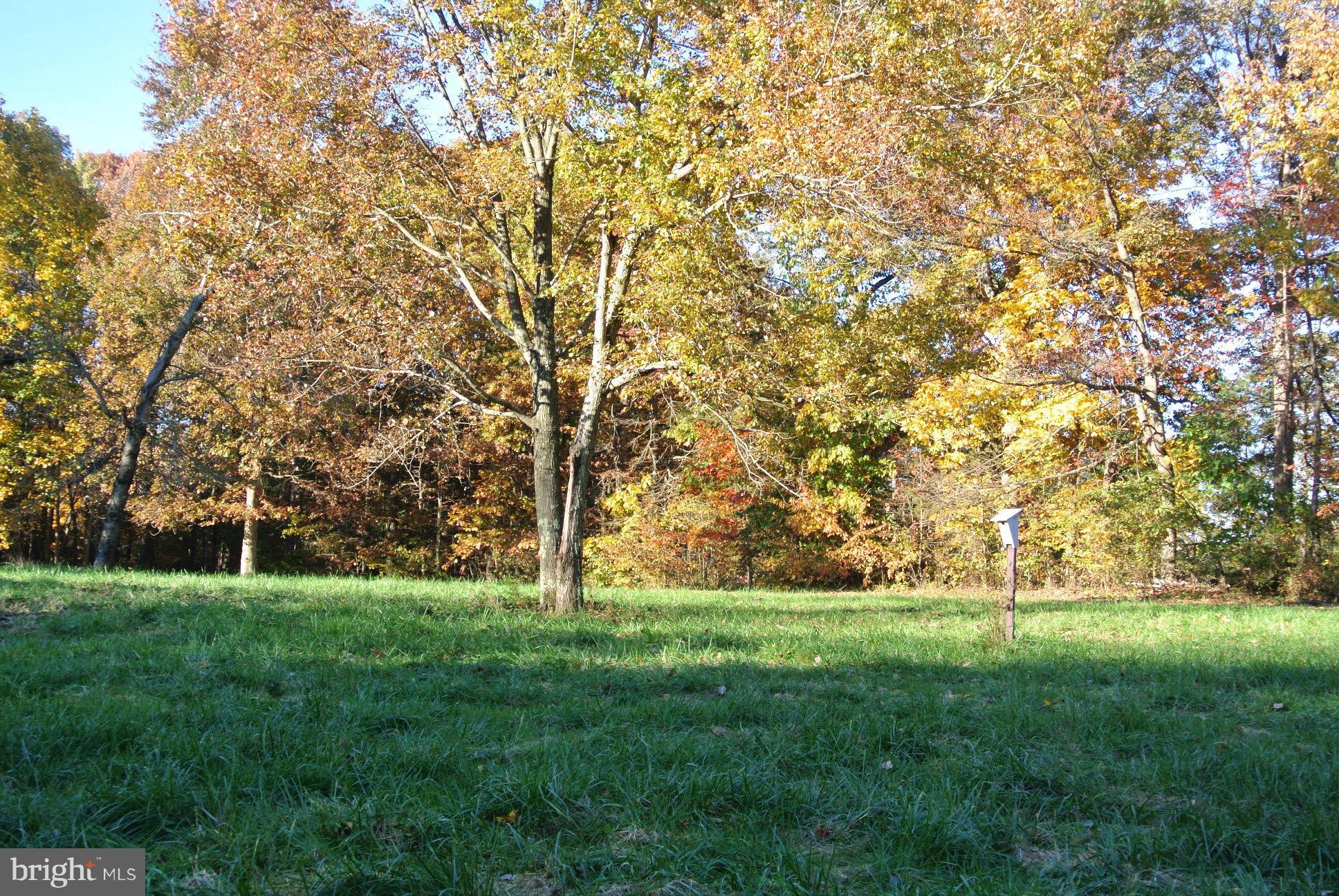 2 Chestnut Fork Road Culpeper, VA 22701 - Photo 6 of 12 View