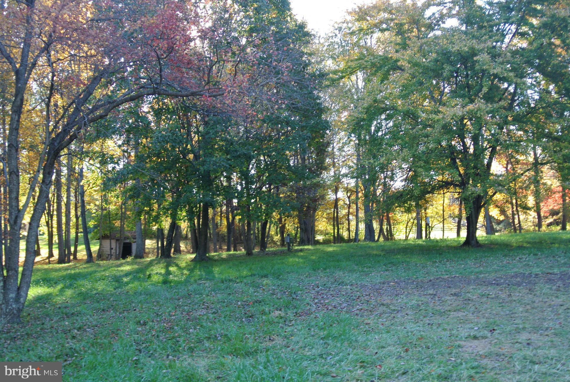 2 Chestnut Fork Road Culpeper, VA 22701 - Photo 7 of 12 View
