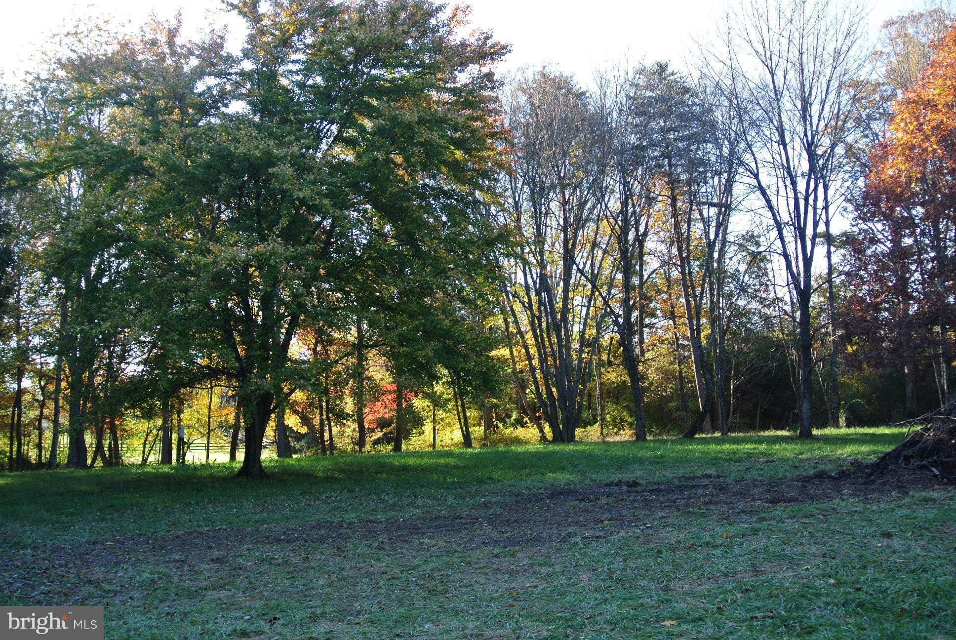2 Chestnut Fork Road Culpeper, VA 22701 - Photo 8 of 12 very little clearing needed to build