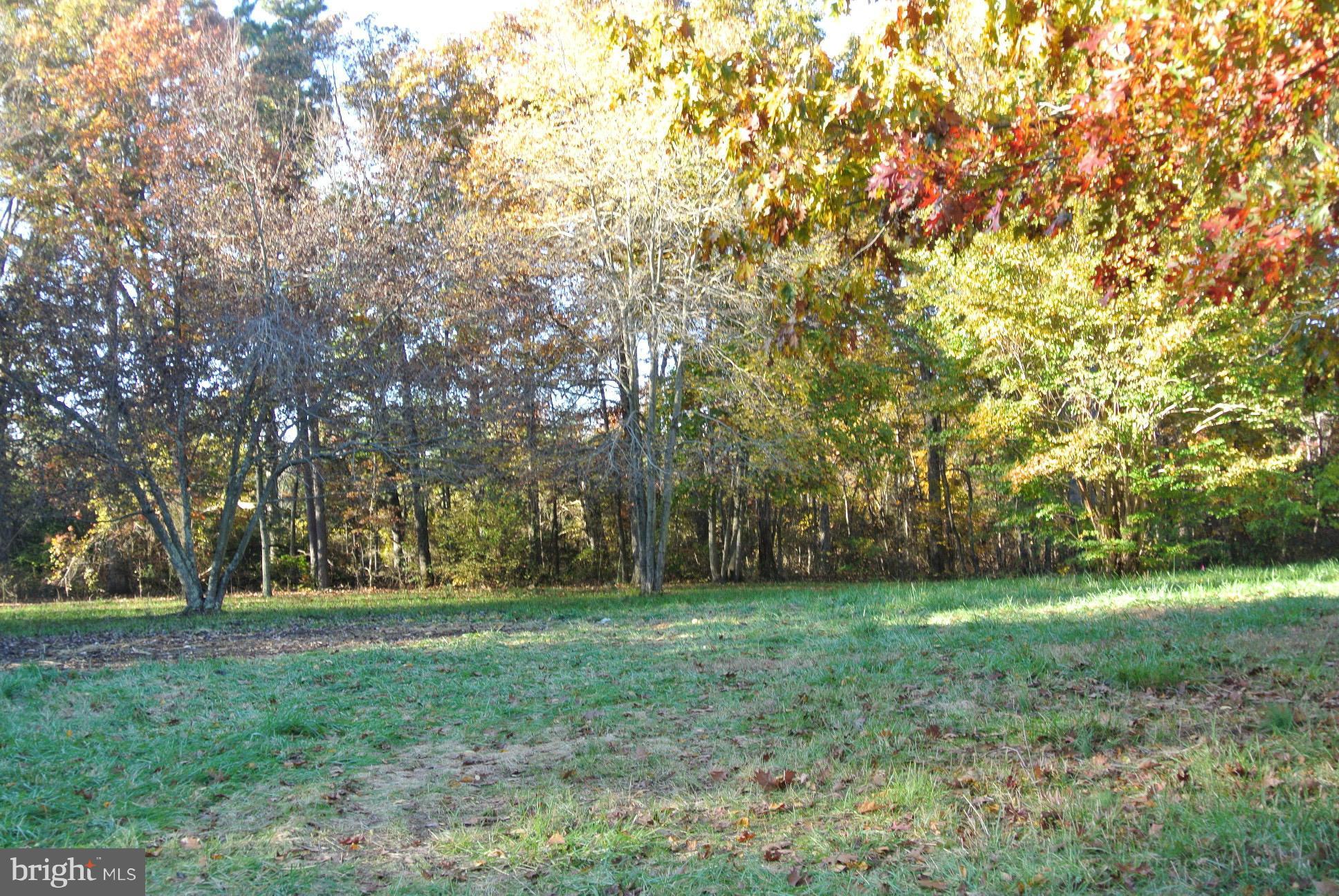 2 Chestnut Fork Road Culpeper, VA 22701 - Photo 9 of 12 Looking at approx. house site