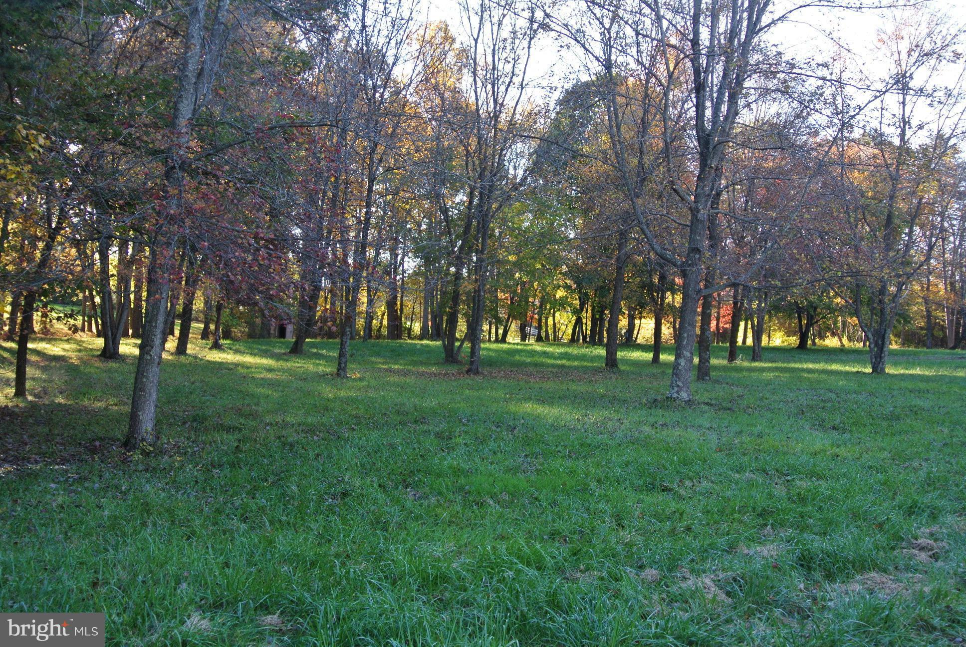 2 Chestnut Fork Road Culpeper, VA 22701 - Photo 10 of 12 House site is to the rear of the lot
