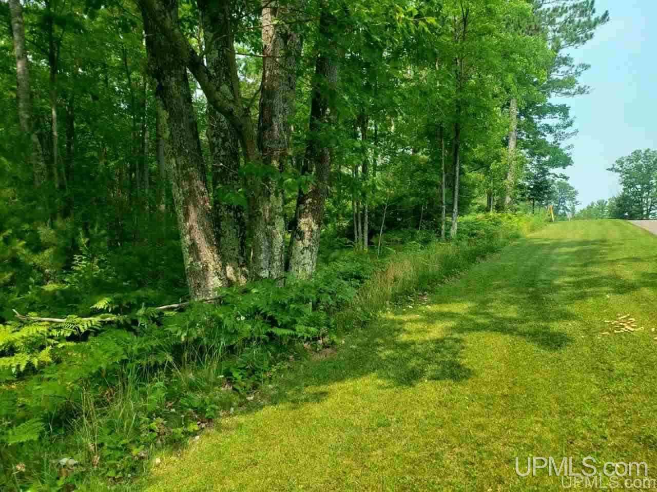 T-wi Wi 54121 Road Florence, WI 54121 - Photo 7 of 11