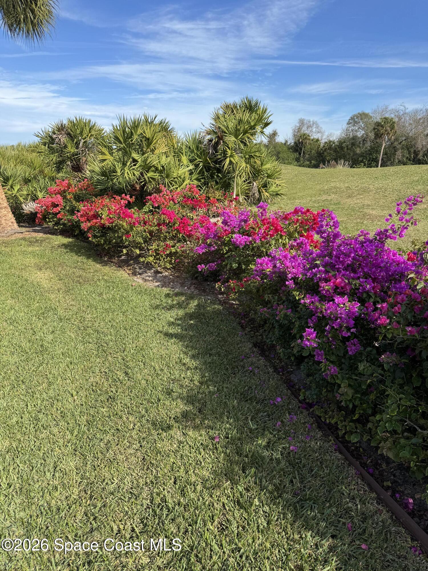 1133 Balmoral Way Melbourne, FL 32940 - Photo 100 of 103 Before the deep freeze!