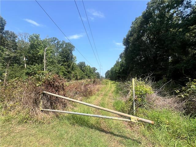 0 General Ott Road Hammond, LA 70403 - Photo 2 of 4 Gallery Image 2