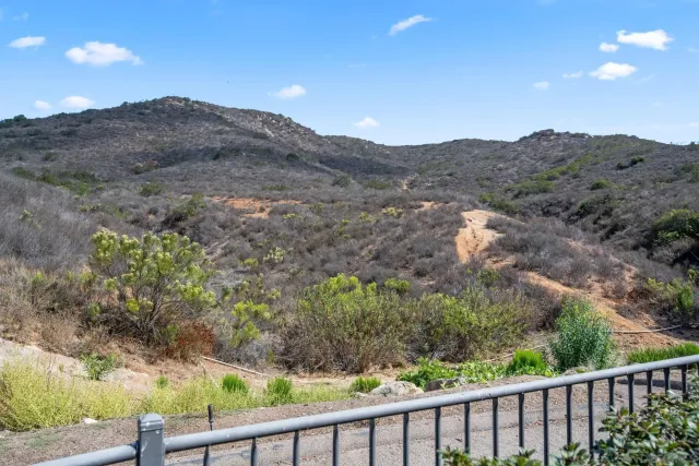 a view of a mountain