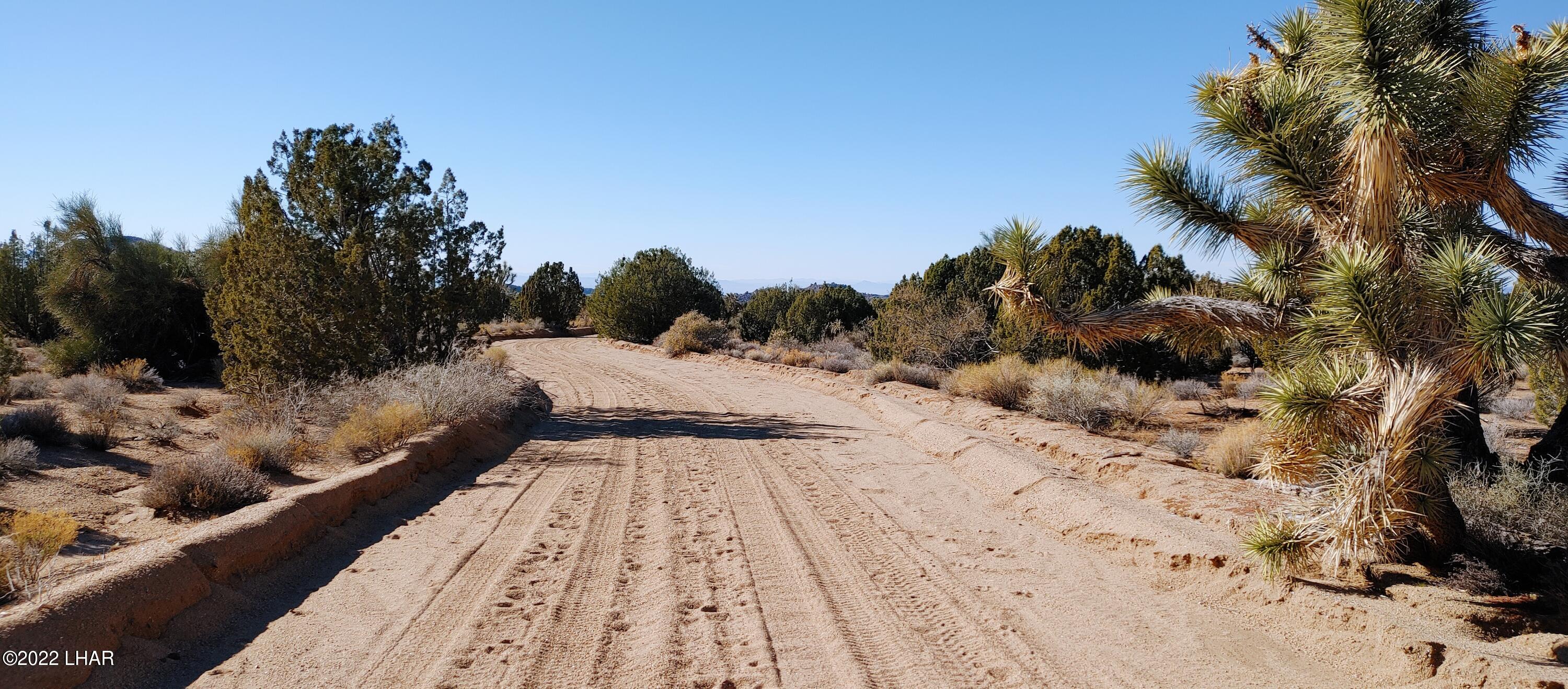3290 South Gold Mine Road Yucca, AZ 86438 - Photo 50 of 50 1210221359b
