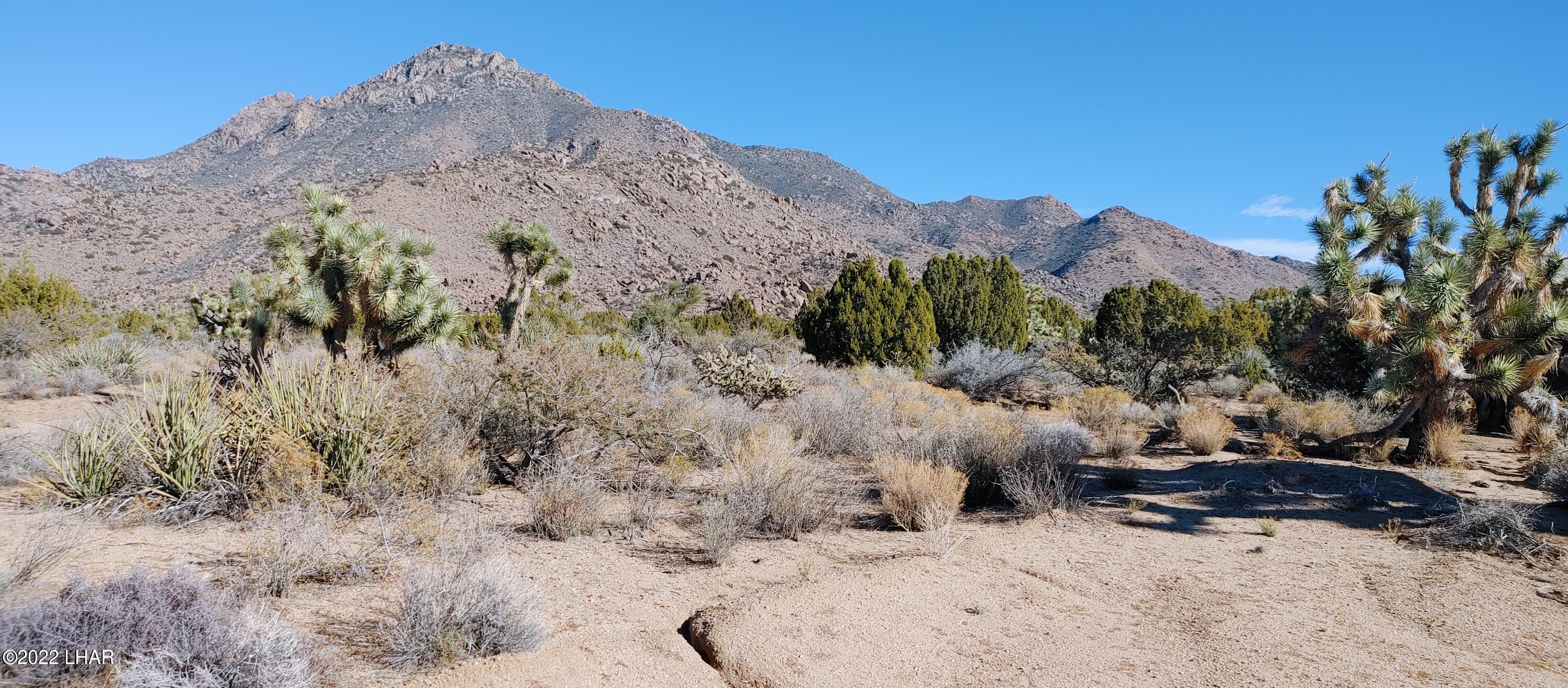 3290 South Gold Mine Road Yucca, AZ 86438 - Photo 6 of 50 15-Acres Adjoints miles of federal land