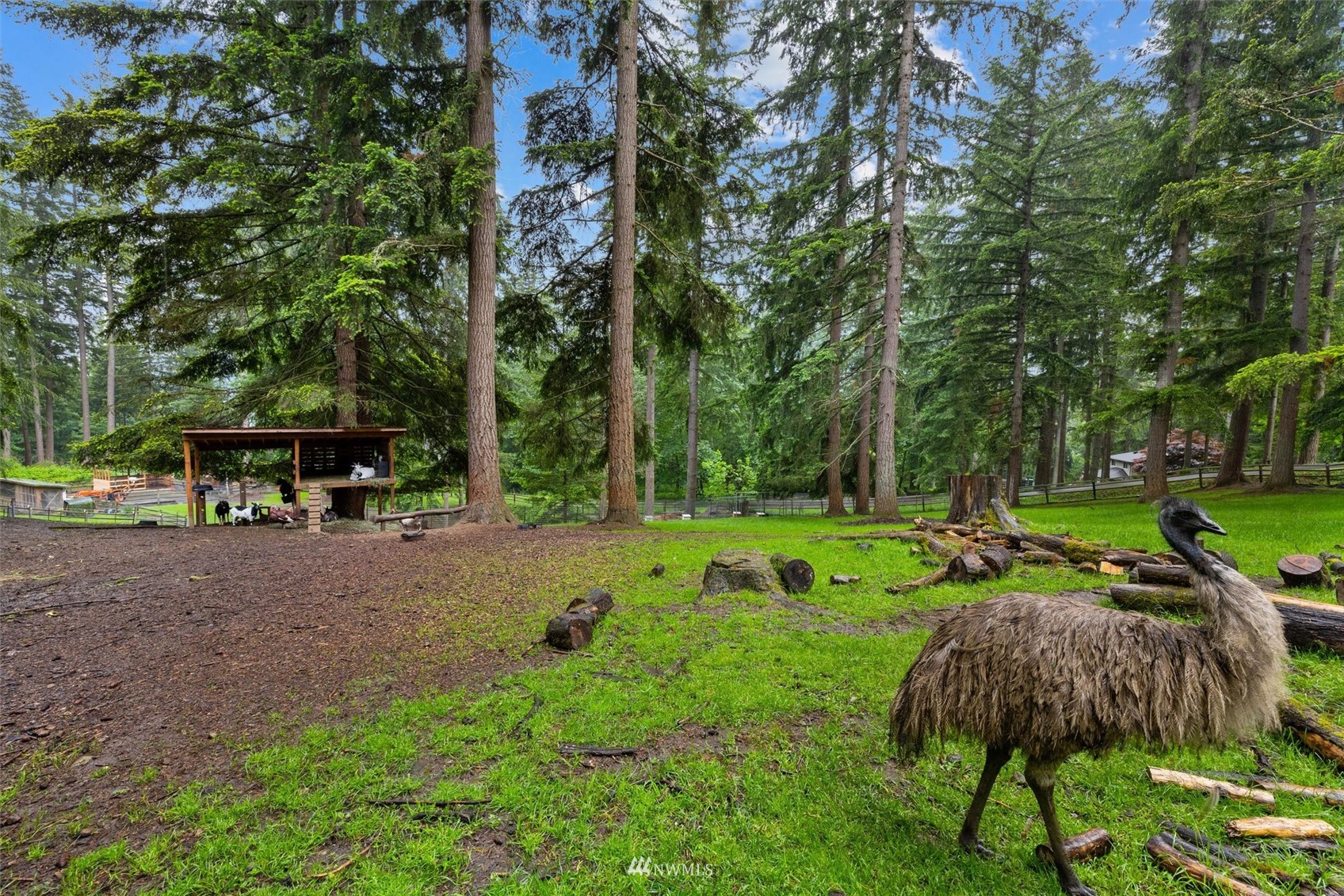 28105 Northeast Tolt Hill Road Carnation, WA 98014 - Photo 4 of 40 Gallery Image 4