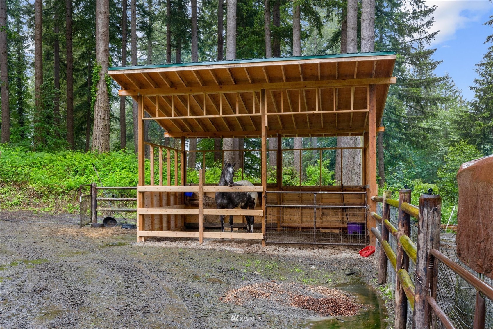 28105 Northeast Tolt Hill Road Carnation, WA 98014 - Photo 5 of 40 Gallery Image 5