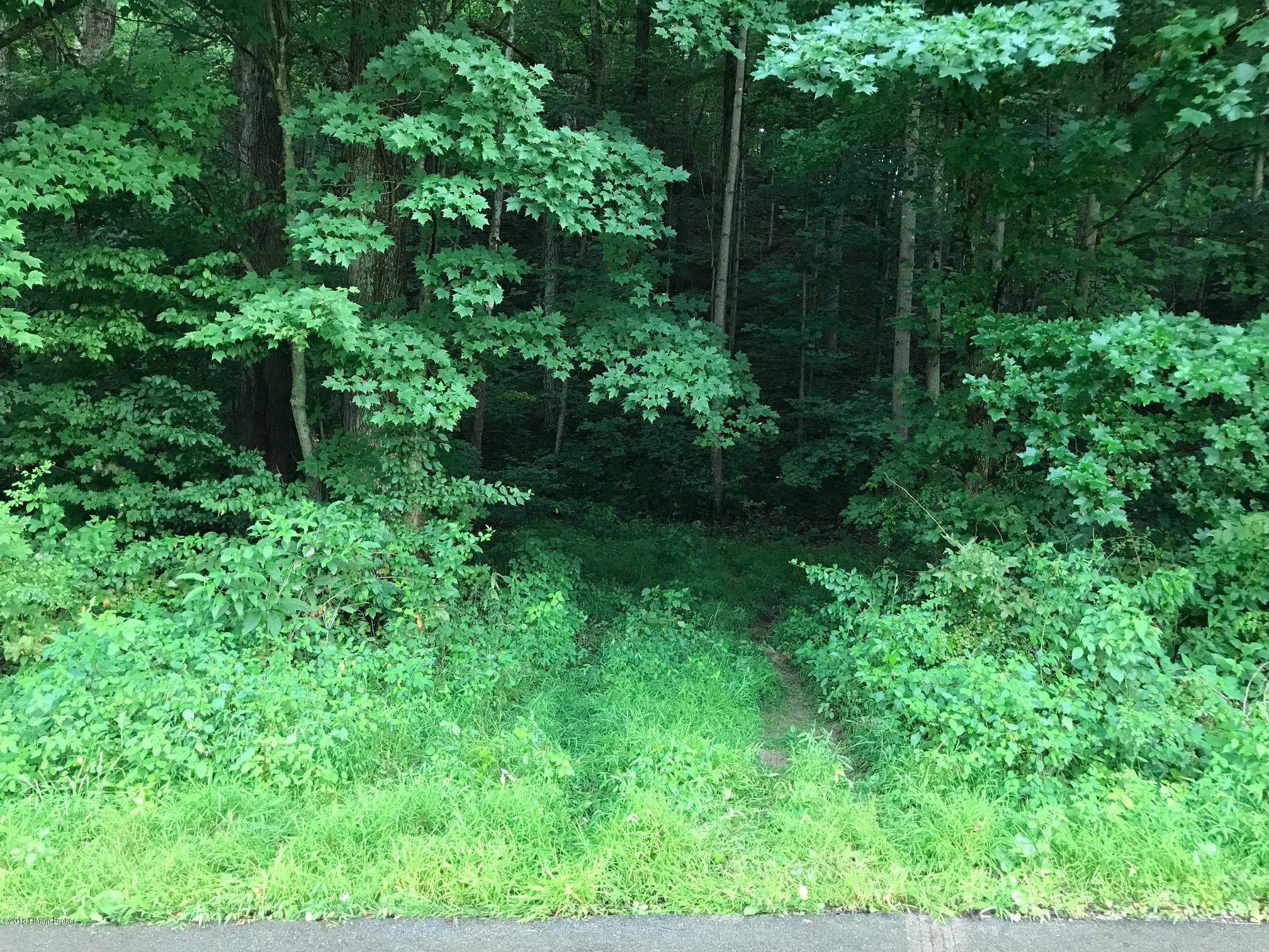 15713 Bearcamp Road Louisville, KY 40272 - Photo 11 of 12 11