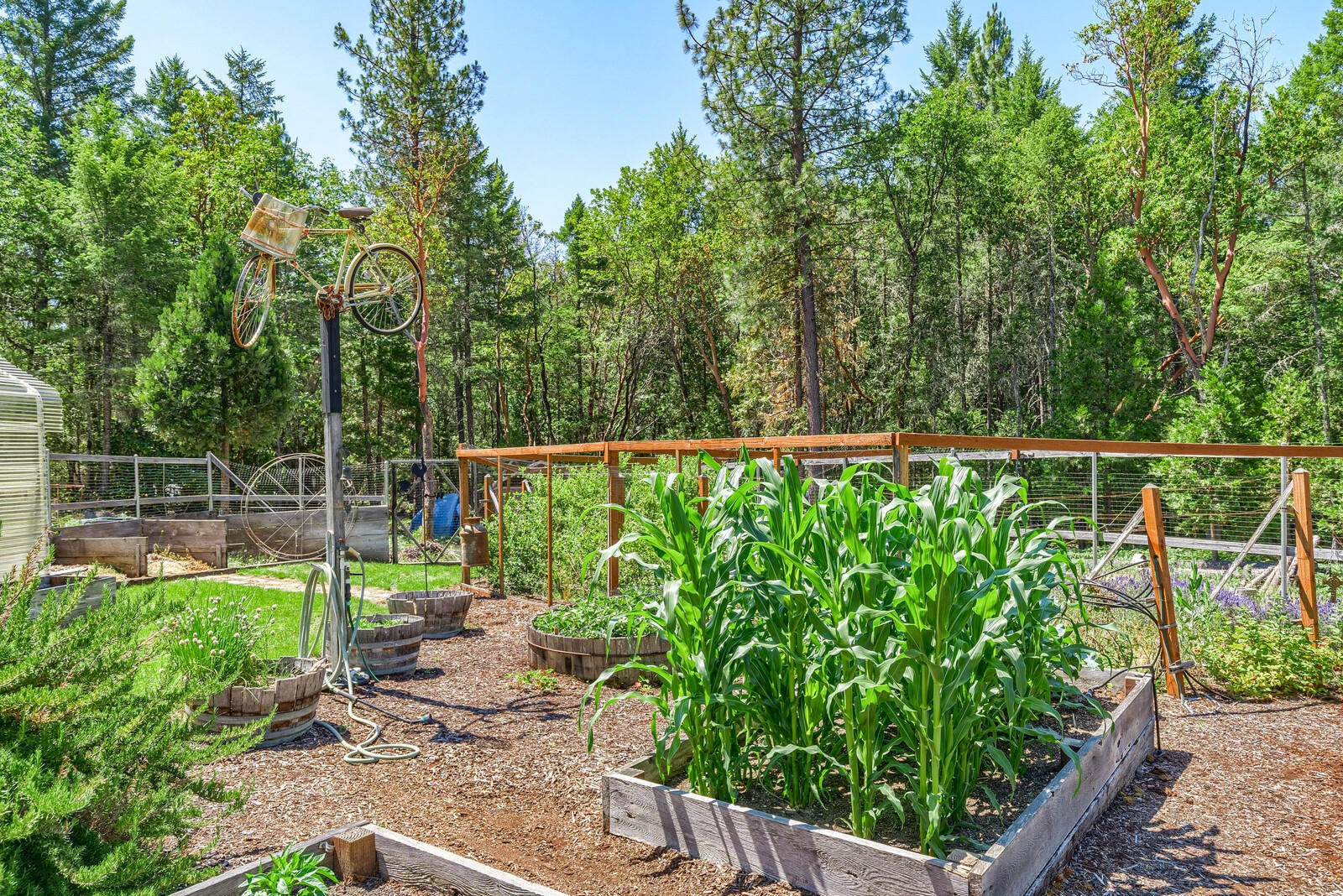697 Peco Road Grants Pass, OR 97526 - Photo 46 of 55 16_PR_17_mls