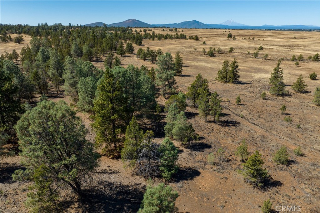 0 Old Hwy Road Fall River Mills, CA 96028 - Photo 8 of 14 Gallery Image 8