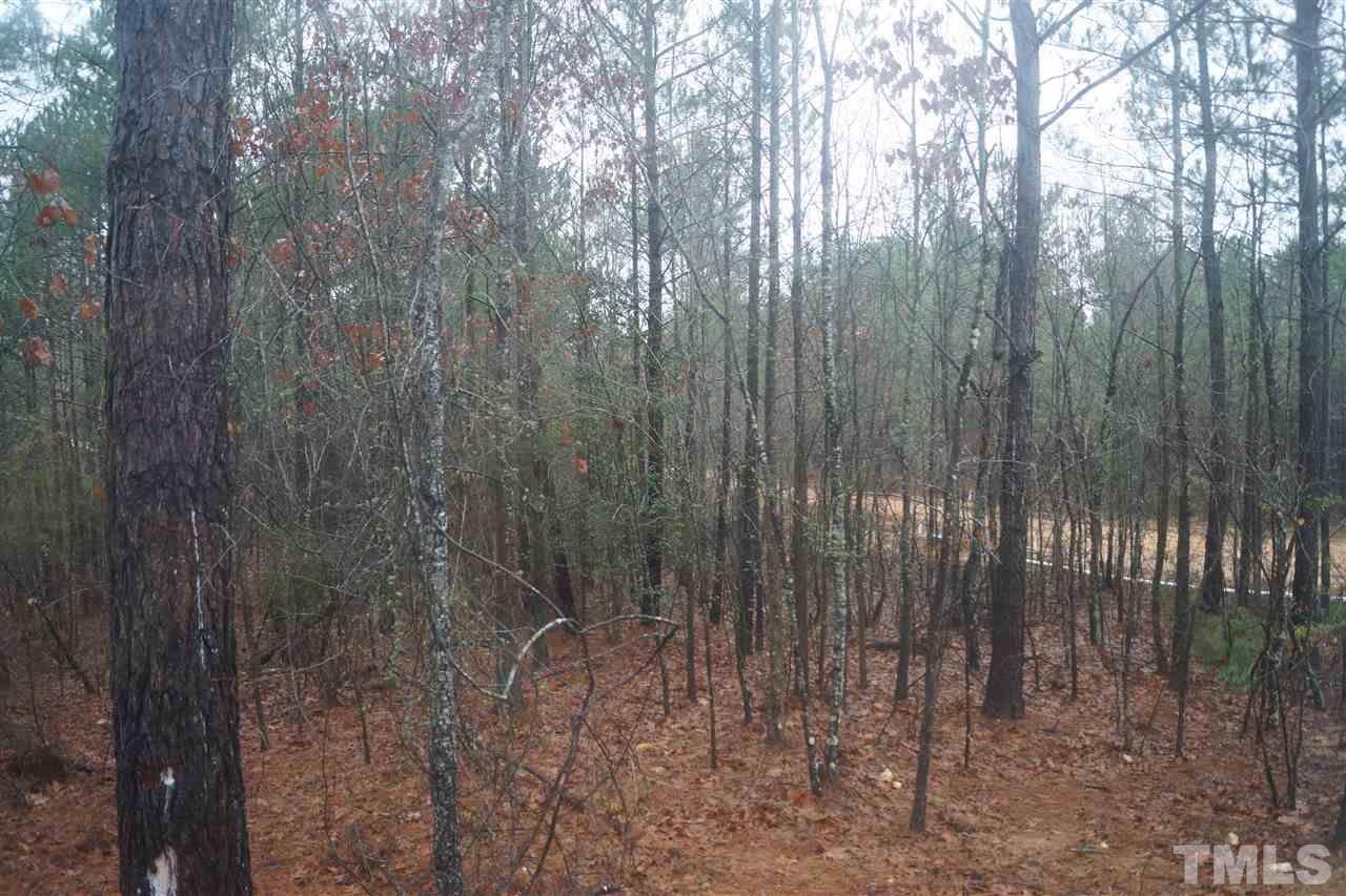 105 Tinney Inn Road Sanford, NC 27332 - Photo 21 of 22 Gallery Image 21