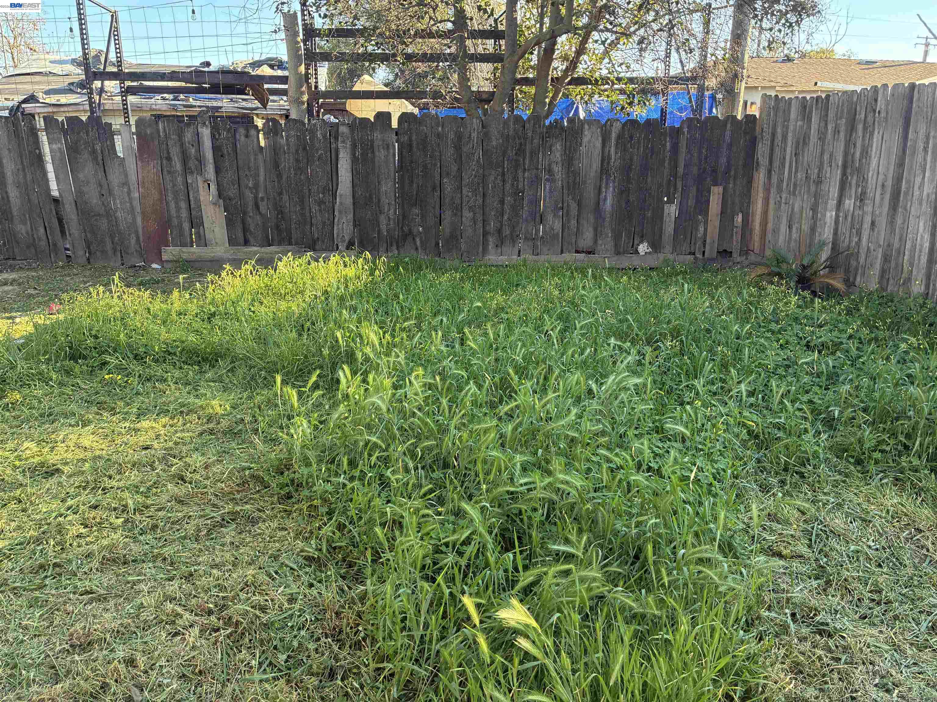 1614 Mono Drive Modesto, CA 95354 - Photo 15 of 15 a view of a backyard with wooden fence