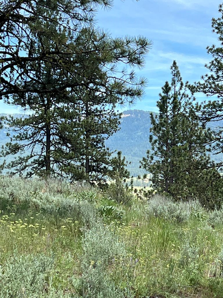 B22-l13 Vardon Road, Unit 13 New Meadows, ID 83654 - Photo 4 of 16