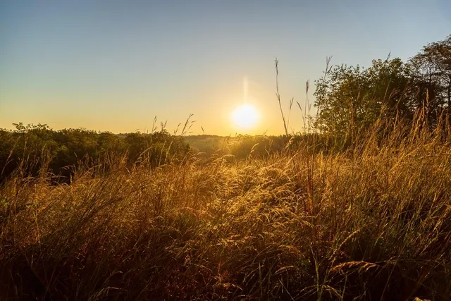 $1,396,500 | 0 460 Road, Parnell, MO 64475