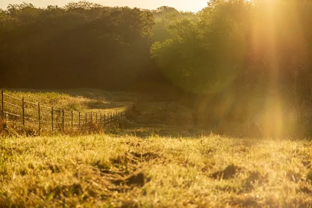 $1,396,500 | 0 460 Road, Parnell, MO 64475