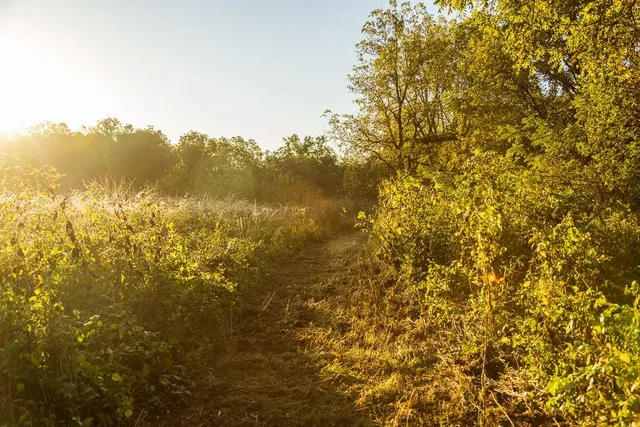 $1,396,500 | 0 460 Road, Parnell, MO 64475