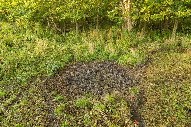 $1,396,500 | 0 460 Road, Parnell, MO 64475