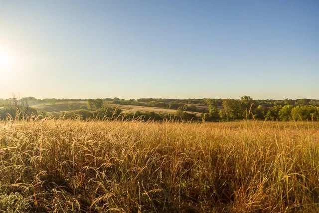 $1,396,500 | 0 460 Road, Parnell, MO 64475