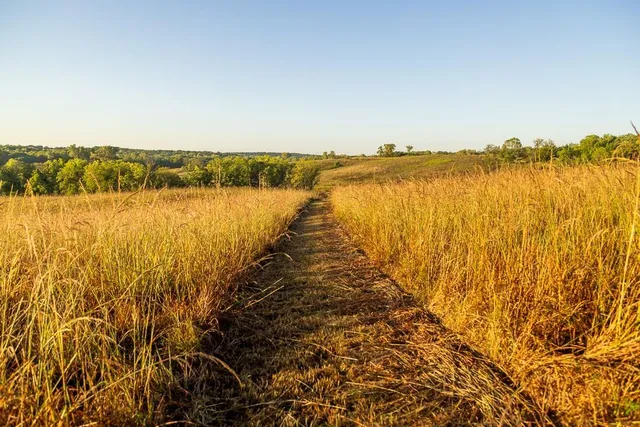 $1,396,500 | 0 460 Road, Parnell, MO 64475