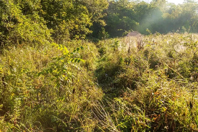 $1,396,500 | 0 460 Road, Parnell, MO 64475