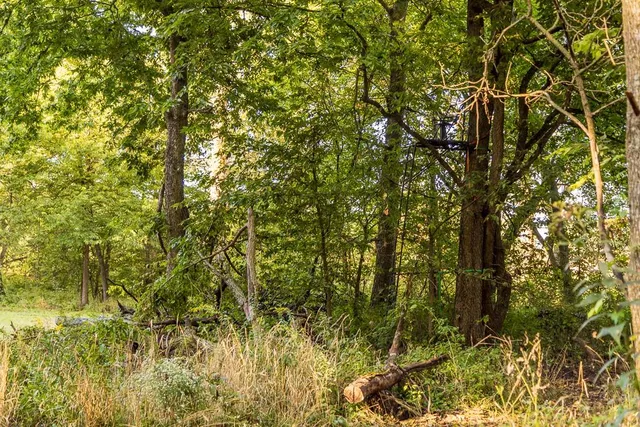 $1,396,500 | 0 460 Road, Parnell, MO 64475