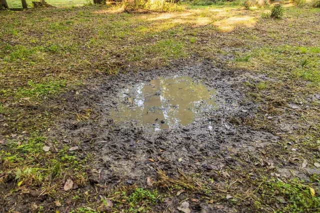 $1,396,500 | 0 460 Road, Parnell, MO 64475