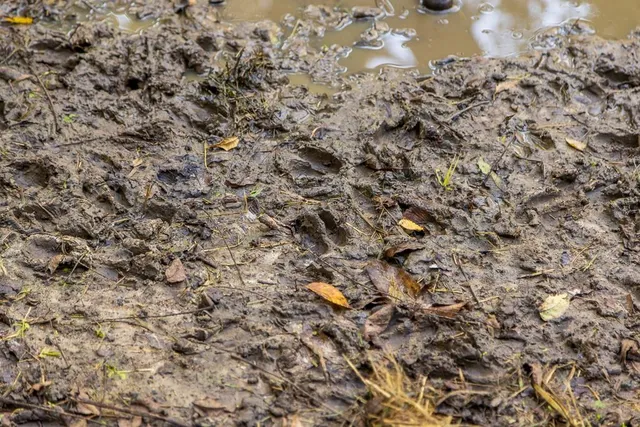 $1,396,500 | 0 460 Road, Parnell, MO 64475