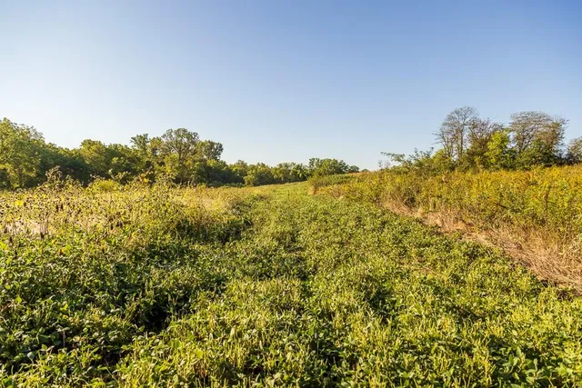 $1,396,500 | 0 460 Road, Parnell, MO 64475