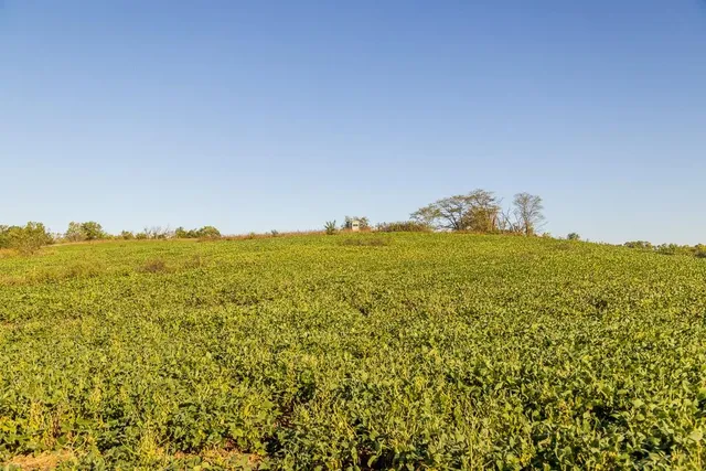 $1,396,500 | 0 460 Road, Parnell, MO 64475