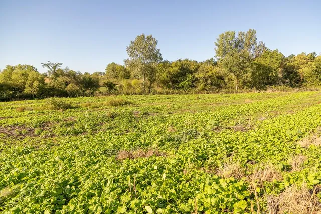 $1,396,500 | 0 460 Road, Parnell, MO 64475