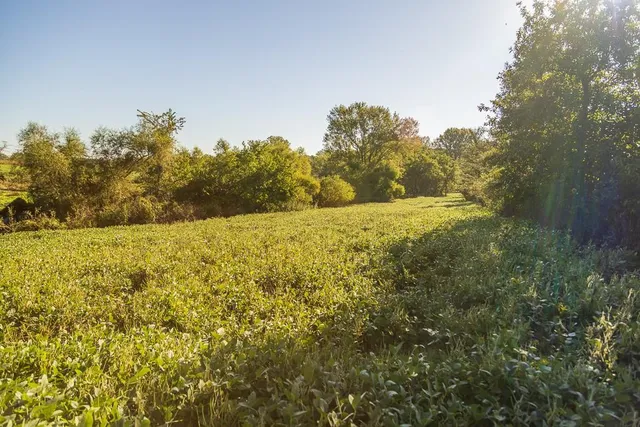 $1,396,500 | 0 460 Road, Parnell, MO 64475