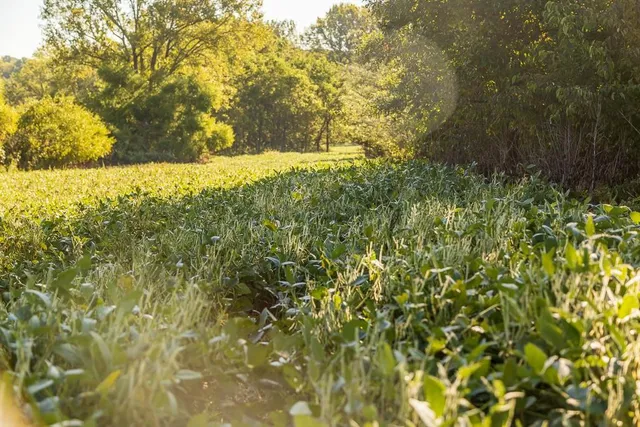 $1,396,500 | 0 460 Road, Parnell, MO 64475