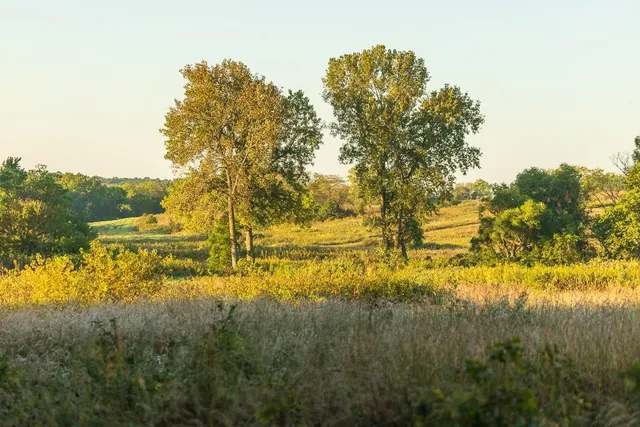 $1,396,500 | 0 460 Road, Parnell, MO 64475