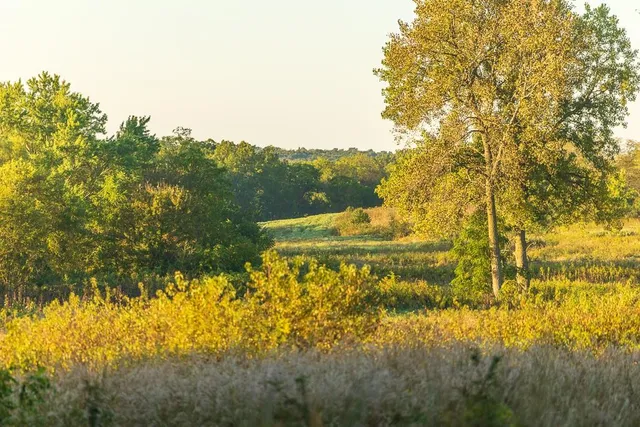 $1,396,500 | 0 460 Road, Parnell, MO 64475