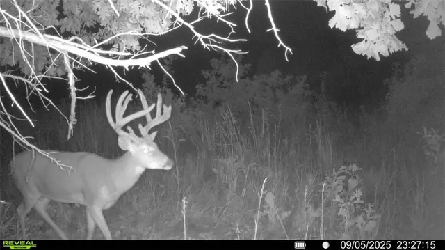 $1,396,500 | 0 460 Road, Parnell, MO 64475