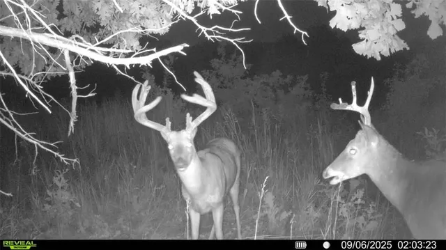 $1,396,500 | 0 460 Road, Parnell, MO 64475