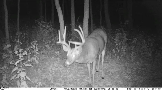 $1,396,500 | 0 460 Road, Parnell, MO 64475