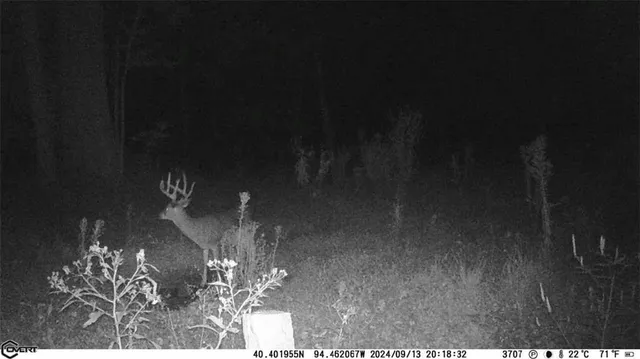 $1,396,500 | 0 460 Road, Parnell, MO 64475