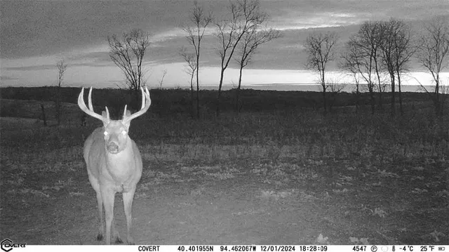 $1,396,500 | 0 460 Road, Parnell, MO 64475