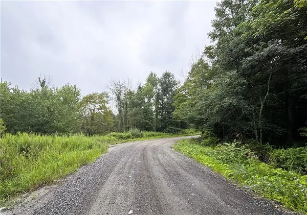 $150,000 | Lot #11 Cushman Road, Pawling, NY 12564