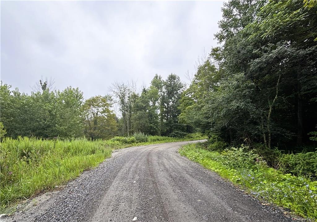 Lot #11 Cushman Road Pawling, NY 12564 - Photo 1 of 3 Lot 11 - Straight ahead, left side of bend