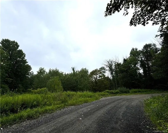 $150,000 | Lot #11 Cushman Road, Pawling, NY 12564