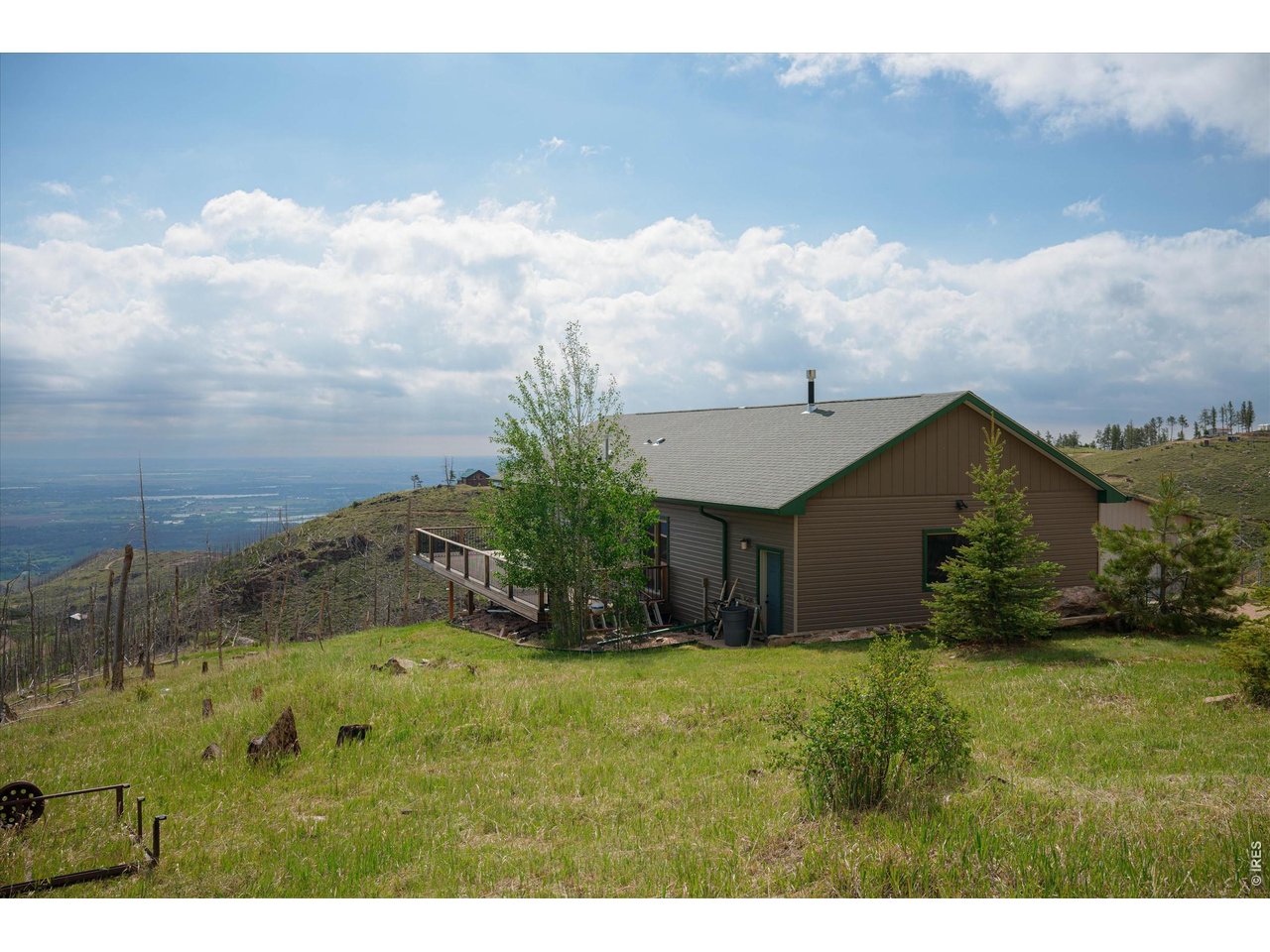 1291 Little Whale Road Bellvue, CO 80512 - Photo 5 of 43 Many trees have been planted and cared for