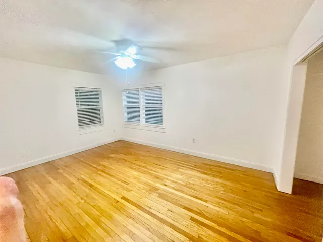 a green field covered with tall trees