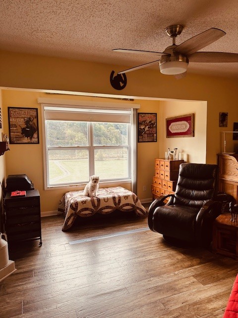 5693 Snow Creek Road Santa Fe, TN 38482 - Photo 11 of 30 a living room with furniture and a window